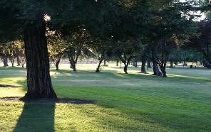 festival_facilities_pic