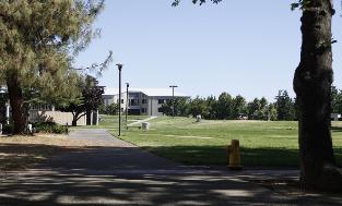 festival_facilities_pic