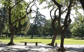 festival_facilities_pic